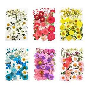 1 Bag Real Dried Pressed Flowers Bulk  Art Crafts DIY Epoxy Resin Jewelry
