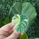 Plant phone grip/leaf phone grip/ Plant lover Gift/ phone Accessories/ Rare Plant/ Rare plant phone grip