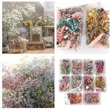 1PC Dried Flowers Natural Floral Art Craft Scrapbooking Resin Jewelry Making
