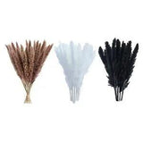 15x Dried Pampas Grass Phragmites Reed Flower Bunch Home Party Boho Decor