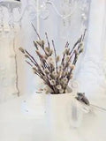 Branch of real dried Pussy Willow Spring Flowers length 7.7'' 30 Stems Easter