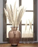 Reed Grass Reed Natural Dry Reed Grass Artificial Plant Wedding Bouquet Home
