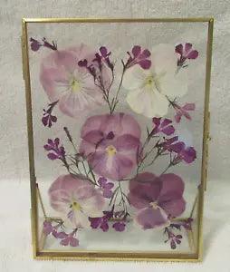 Dried Pressed Pansies in Wood Frame: 7.0" X 5.0"
