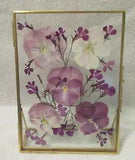 Dried Pressed Pansies in Wood Frame: 7.0" X 5.0"