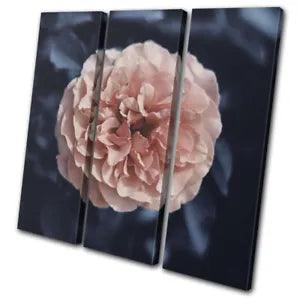 Navy Peach Peony Flower Nature Floral TREBLE CANVAS WALL ART Picture Print