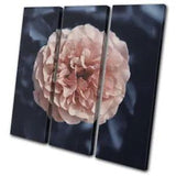 Navy Peach Peony Flower Nature Floral TREBLE CANVAS WALL ART Picture Print