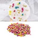 140pcs Real Dried Flowers For Art Craft Epoxy Resin Jewellery Candle Making