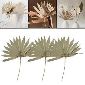 3 Pieces Dried Palm Leaves Boho Bouquet Decoration Craft for Birthday Party