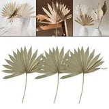 3 Pieces Dried Palm Leaves Boho Bouquet Decoration Craft for Birthday Party