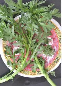 350+Tong-Ho Cai-Cuc Garland Chrysanthemum Shungiku Tan-O Best Soup Veggie