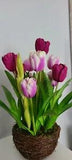 Spring Tulip Decor