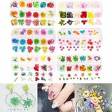 12grid/box Real Dried Flowers Fillings Epoxy Resin Mold Filling Jewelry Making F