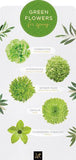20 Types of Green Flowers - FTD.com Flower Delivery