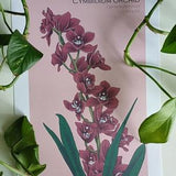 Flowers art print, plants art print A4