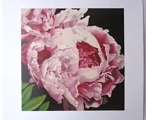 NEW LISTINGMcGaw Graphics Peony II by Elizabeth Hellman 11x14 Art Print Poster Flower Decor