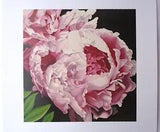 NEW LISTINGMcGaw Graphics Peony II by Elizabeth Hellman 11x14 Art Print Poster Flower Decor