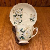 Colclough White Peonies in Bloom on a Light Green Background Teacup and Saucer Floral Antique Cup