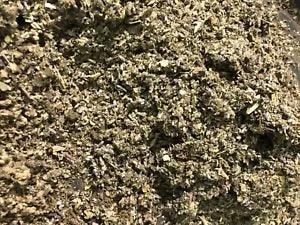 No.31 Mix - Clove Mint Skullcap Mullein Coltsfoot  Lavender Raspberry - 4 Ounces