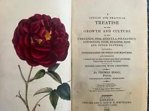 1822 Hogg Practical Treatise Culture Carnation Pink Tulip Auricula Polyanthus