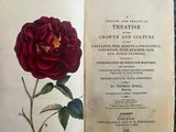 1822 Hogg Practical Treatise Culture Carnation Pink Tulip Auricula Polyanthus