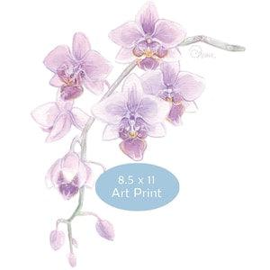 Small Orchid Illustration, Nature Art Print, Watercolor Painting, Purple Orchid, Fine Art Decor, Flower Wall Hanging, Living Room Wall Art