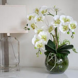 Artificial orchids in a glass bowl. Real touch orchid arrangement.