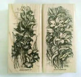 Stampin' Up 2003 Spring Lilies 2003 Rubber Stamps 4.5" x 2.25" Set of Two