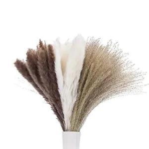 Pampas Grass 60 Pcs, Natural Dried Pampas Grass Decor for Flower Arrangements J3