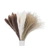 Pampas Grass 60 Pcs, Natural Dried Pampas Grass Decor for Flower Arrangements J3