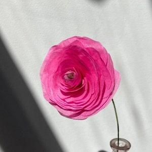 Ranunculus