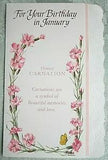 January Birthday Card Carnations Flowers + Envelope American Greetings 5.5 X8.25