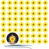Pressed Dried Flowers HEISENLIN 60 PCS Yellow Real Natural Dried Pressed Dais...