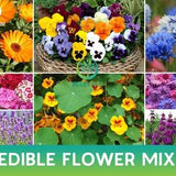 Edible Wildflowers Mix Seeds