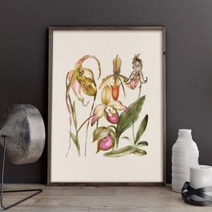 Orchid wall art, floral art prints, neutral flower print, vintage botanical, orchid print, wildflower wall art, floral poster, vintage print