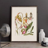 Orchid wall art, floral art prints, neutral flower print, vintage botanical, orchid print, wildflower wall art, floral poster, vintage print