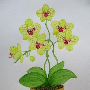 Orchid painting, orchid original watercolour painting, orchid watercolour, not a print, wall decor gift, hand-painted picture.