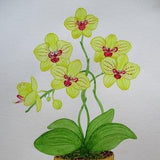 Orchid painting, orchid original watercolour painting, orchid watercolour, not a print, wall decor gift, hand-painted picture.