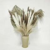 15pcs Dried Reed Flower Arrangement Natural Pampas Grass For Modern Home Decor