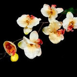 1 Orange Orchid Branch Spray Flowers Orange Peach Artificial Flowers Scrapbooking Flower Embellishments Craft Flowers