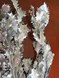 Silver painted natural holly with glitter dried flower stems floral crafts