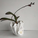 Personalized orchid planter. Modern white vase. Large contemporary vase.