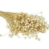 Naturally Dried Flower Artificial Plants Floral Branch For Wedding Party...
