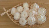 20 Mix Gerbera Peony Dia 4CM Sola Wood Flowers Diffuser Reeds Rattan Sticks