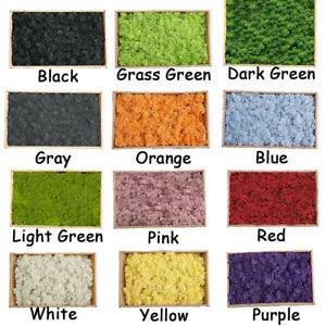 1Bag  Artificial Natural Reindeer Moss Preserved Dried CraftsFlower Home Office