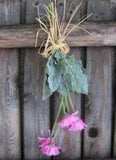 Daisy Spray Pink Gerbera Daisies Tied With Bow Bunch Faux Dried Flowers 19 inch