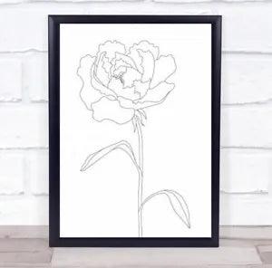 Peony Lines Flower Illustration Flowers Wall Art Print