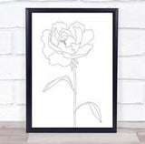 Peony Lines Flower Illustration Flowers Wall Art Print