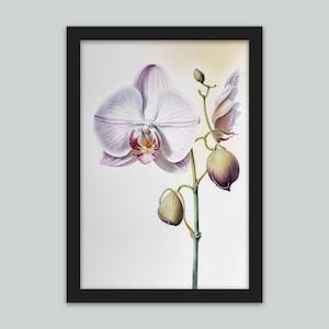 Orchid Watercolor Art Print | Original Orchid Flower Wall Print