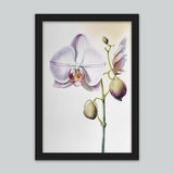 Orchid Watercolor Art Print | Original Orchid Flower Wall Print