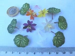4 Miniature LOTUS WATER LILY Flower + Leaves + Root Diorama Pond Plant #Promo